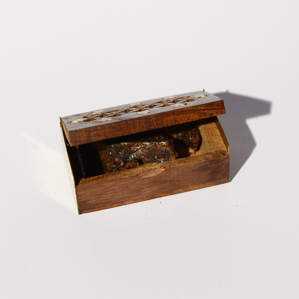 Preview: Amber Dhoop. "Anregend".