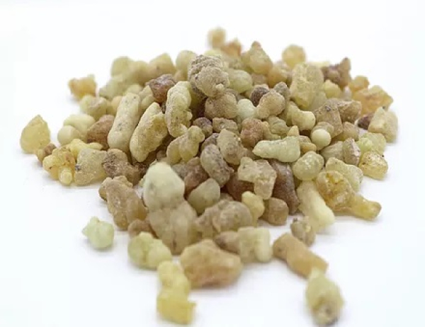 Weihrauch Sudan "Supergrade". Mittlere Stücke