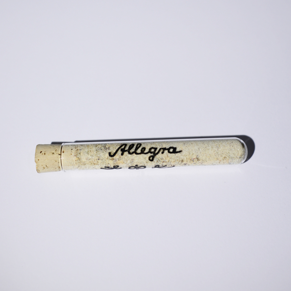 Allegra. "Aufbauend".