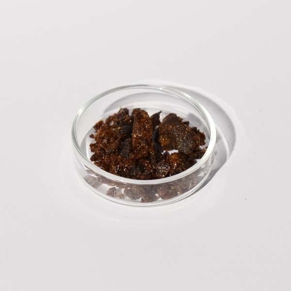 Amber Dhoop. "Anregend".