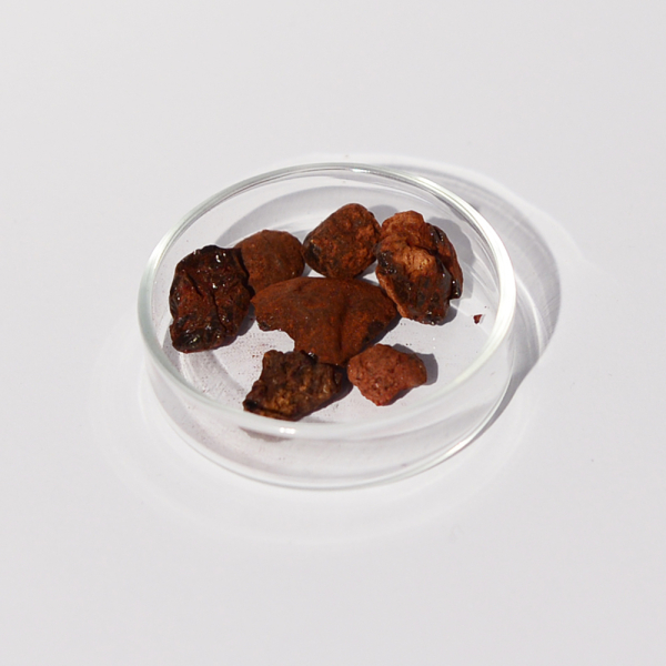 Drachenblut Stücke. "Schützend".