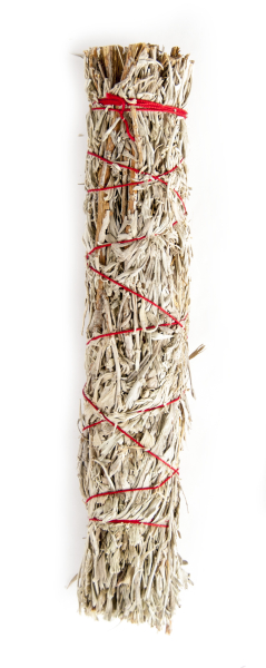 Wüstenbeifuss, MT. Shasta Sage. "Indianisch".